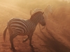 zebra-migration