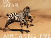 on-safari